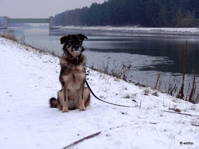 Winter am Kanal