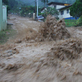 Flash flooding resulting from deforestation. Habitat loss. Rainforest. Conservation.