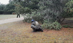 aeg-aep-spring-gbb-gbbr-ptw-gaz-co2-replique-airsoft