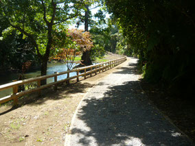 Walkways & Let's Go Projects