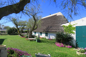 Bild: Camargue-Haus in Saintes-Maries-de-la-Mer  