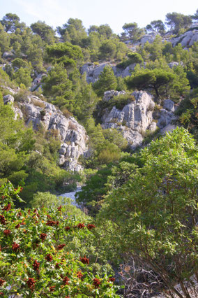 Bild: Abstieg in die Calanque d´en Vau