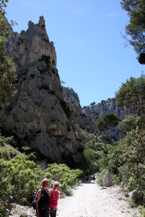 Bild: Der Weg zu Calanque d´En Vau