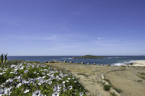 Bild: Praia da Ilha do Pessegueiro 