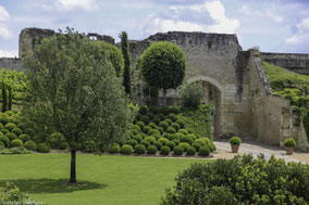 Bild: Im Schlosspark des Château d´Amboise