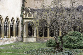 Bild: Brunnen im Garten des Kreuzgang im Musée Unterlinden in Colmar im Elsass, Frankreich