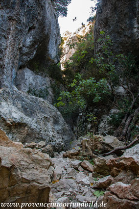 Bild: Wanderung in der Gorges de Régalon, Luberon 