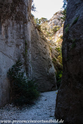 Bild: Wanderung in der Gorges de Régalon, Luberon 