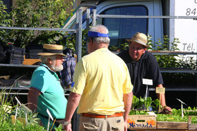 Bild: Markt in Coustellet