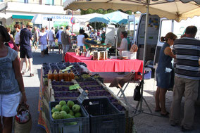 Bild: Markt in Coustellet