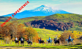 Horseback Riding in Sicilian Countryside + Lunch at Farmhouse on Etna Slope