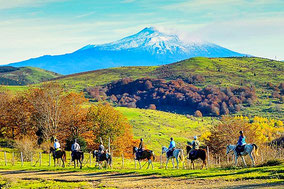 Индивидуальная экскурсия на агроферму у подножия Этны, катание на лошадях на склонах Этны и традиционный сицилийский обед на природе