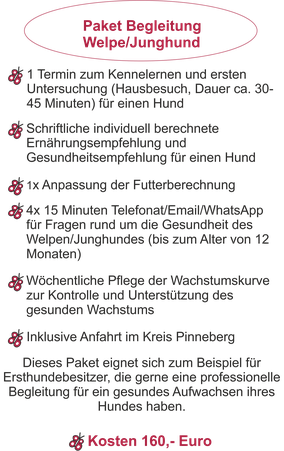 Paket Begleitung Junghund und Welpen. Gesundes Wachstum und professionelle Begleitung, Wachstumskurve Futterberechung, Ernährung und Gesundheit