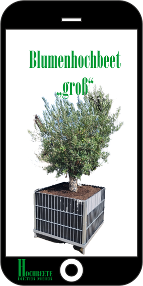 Gesamtpreis incl. MwSt 450€