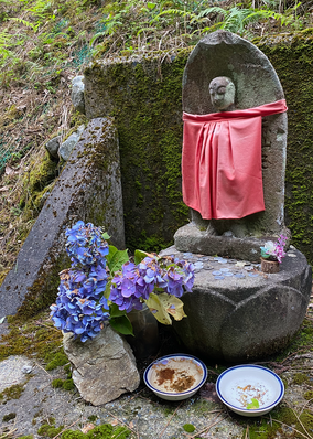 あじさいが綺麗です