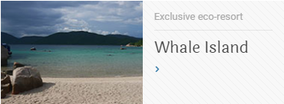 Whale Island PADI Scuba Dive Center - Beach at Whale Island Diving - Dive Vietnam
