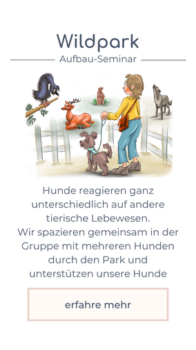 Aufbauseminar_Führungsqualitäten