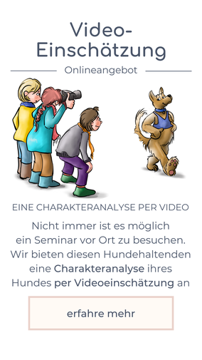 Basis-Seminar Mensch & Hund