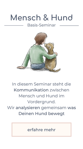 Basis-Seminar Mensch & Hund