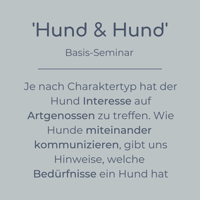 Basis-Seminar Hund & Hund