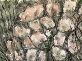 Gestein und Zweige (24 x 32 cm)
