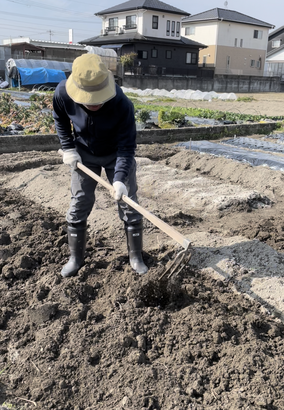 三本鍬で土をほぐす