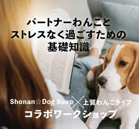 Shonan☆Dog Soap×上質わんこライフ コラボワークショップ 「パートナーわんことストレスなく過ごすための基礎知識」