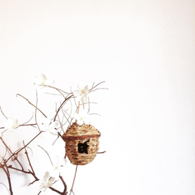 @mariaschmetterling
