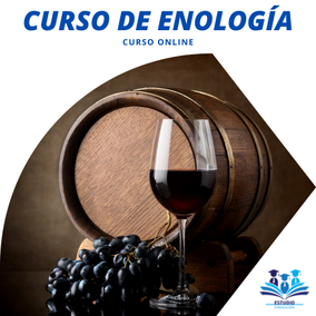 Curso de Enología