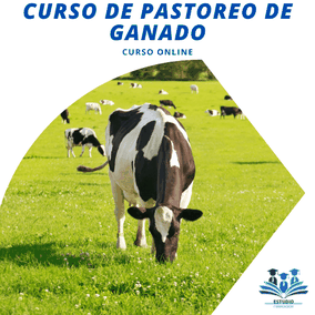 Curso de Pastoreo de Ganado