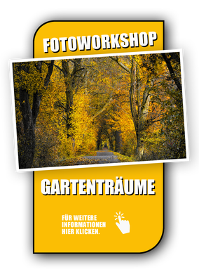 Link zum Fotoworkshop, Wie werde ich meine Frau los