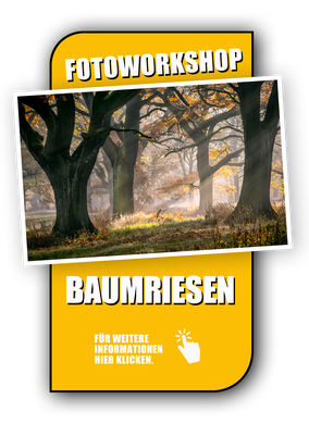 Link zum Fotoworkshop, Wie werde ich meine Frau los