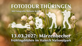 Märzenbecher im Hainich fotografieren