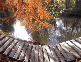 Im Vordergrund sieht man eine Hängematte aus mittelbraunen Holzlatten. Dahinter liegt ein kleiner See. Links im Bild senkt sich von oben ein herbstbunter Ast. Rechts dahinter ist ein Zweig mit kleinen grünen Blättern.