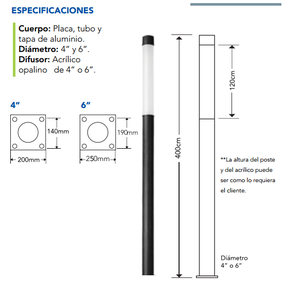 APOLO DILAE