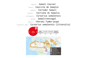 distribution of somali courser