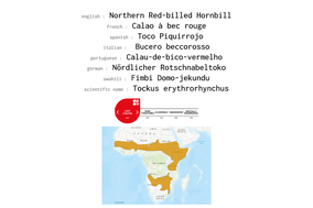 distribution of northern red-billed hornbill
