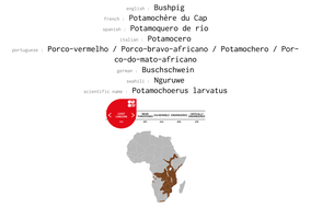 distribution of bushpig, potamochère du cap, potamoquero de rio