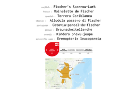 distribution of Fischer's sparrow-lark