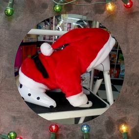 Ropa de navidad para perro. razas pequeñas