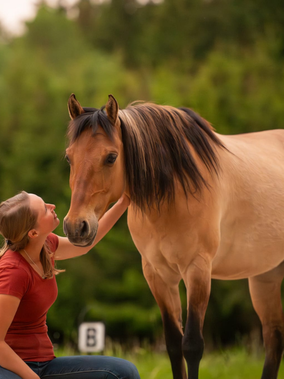 Training für Pferd & Mensch - Sabrina Filser in 86860 Weicht - Teo