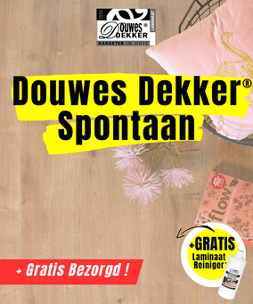 Douwes Dekker Spontaan Collectie