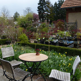 Das Café in der Königlichen Gartenakademie