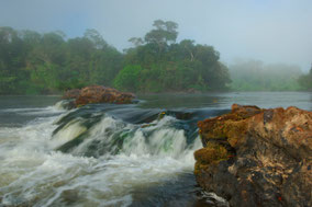 Amazonas
