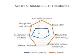 Synthèse du diagnostic pme