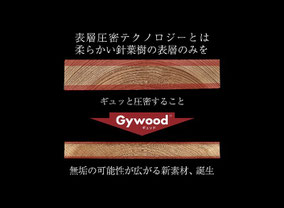 ナイス(株)のホームページより転載
