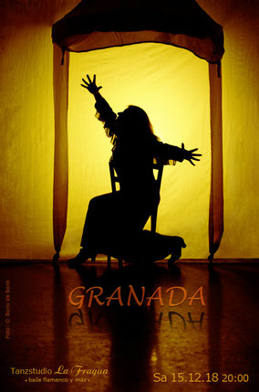 Titelfoto zur Flamenco-Aufführung "GRANADA" am 15.12.18 im Tanzstudio La Fragua in Bonn/Color-Foto by Boris de Bonn