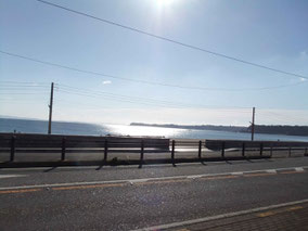 神奈川県　三浦　レンタサイクル