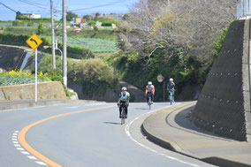 神奈川県　三浦　レンタサイクル