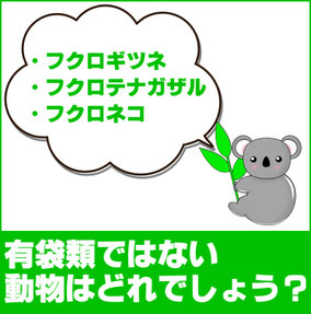 有袋類ではない動物はどれでしょう？